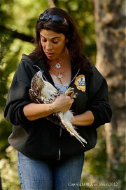 Cathy Horvath-Wildlife Rehabber