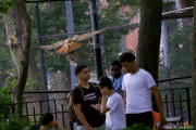 Tompkins Square Park Hawks